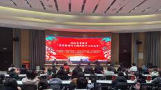 闹元宵·暖民心：2026年平舆县“我在新时代文明实践中心过元宵”文明实践活动